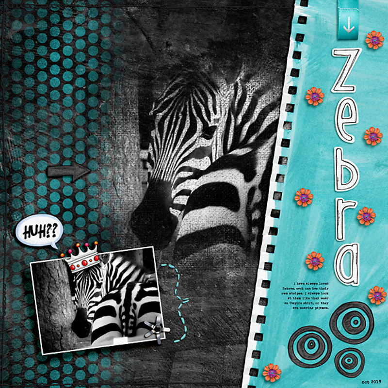 Zebra by cfile Zebra