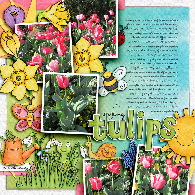 Spring Tulips by cfile Spring Tulips