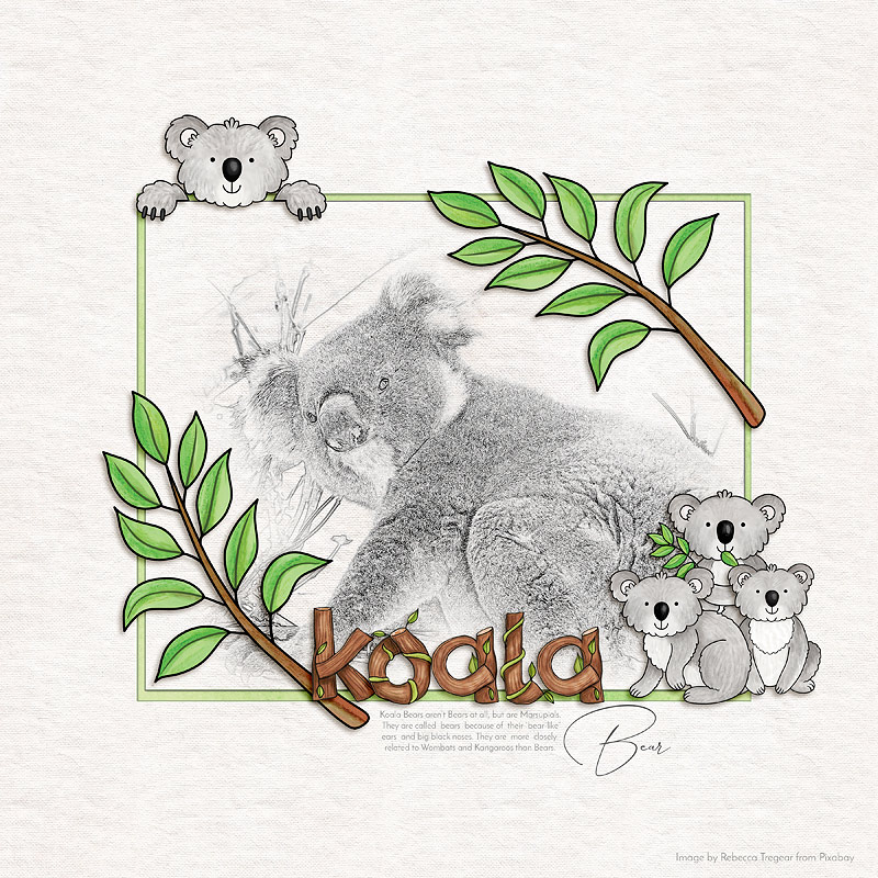 Koala Bear by cfile Koala Bear