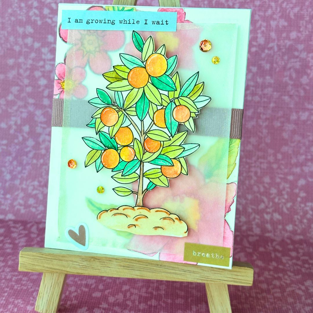 Orange Tree Motivational by Kinjal Trivedi Orange Tree Motivational