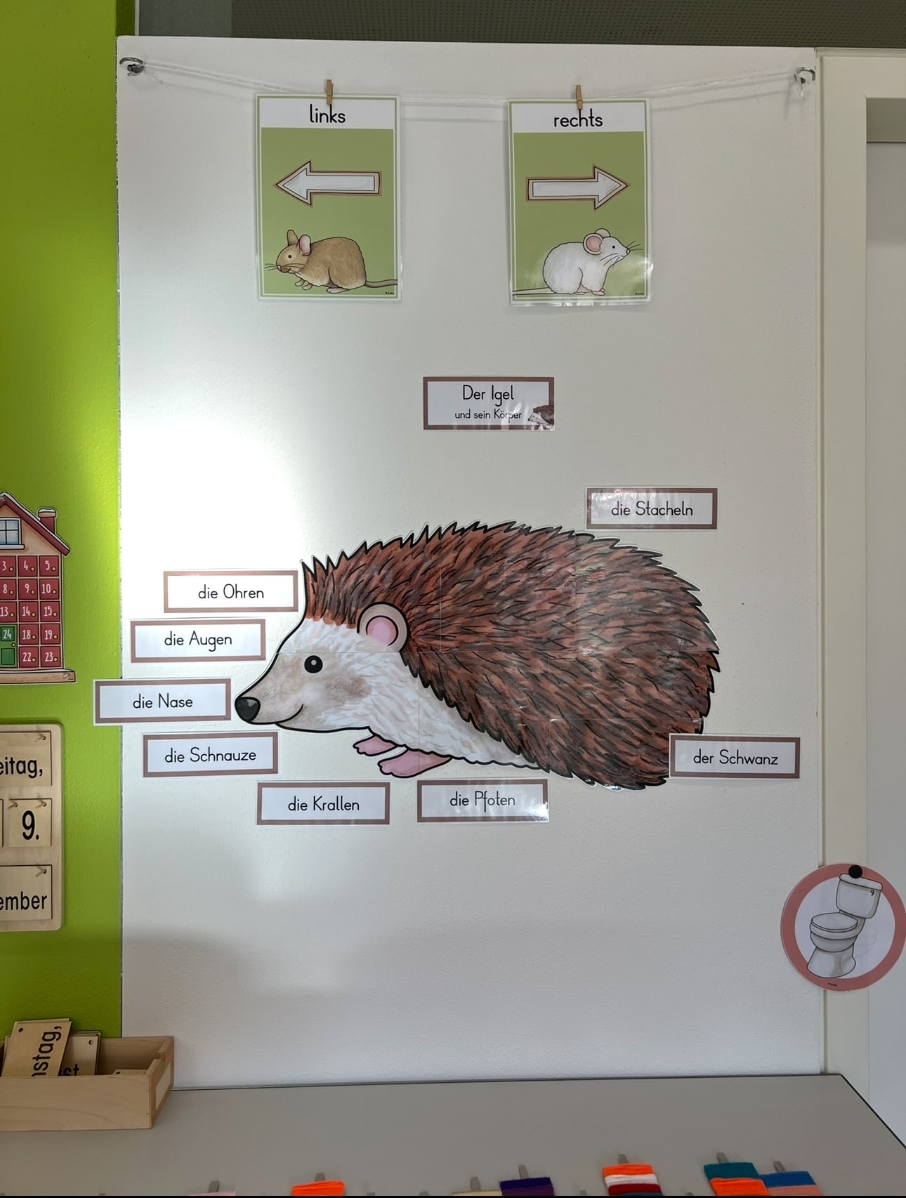 Hedgehog by Frau Koc Hedgehog