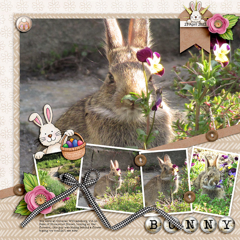 Springtime Bunny by cfile Springtime Bunny