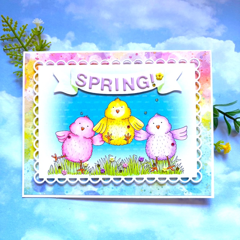 Happy Chicks! by Betsy Birge Happy Chicks!