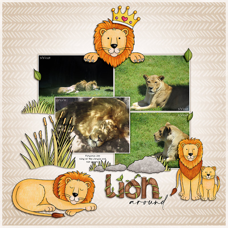 Lion around by cfile Lion around