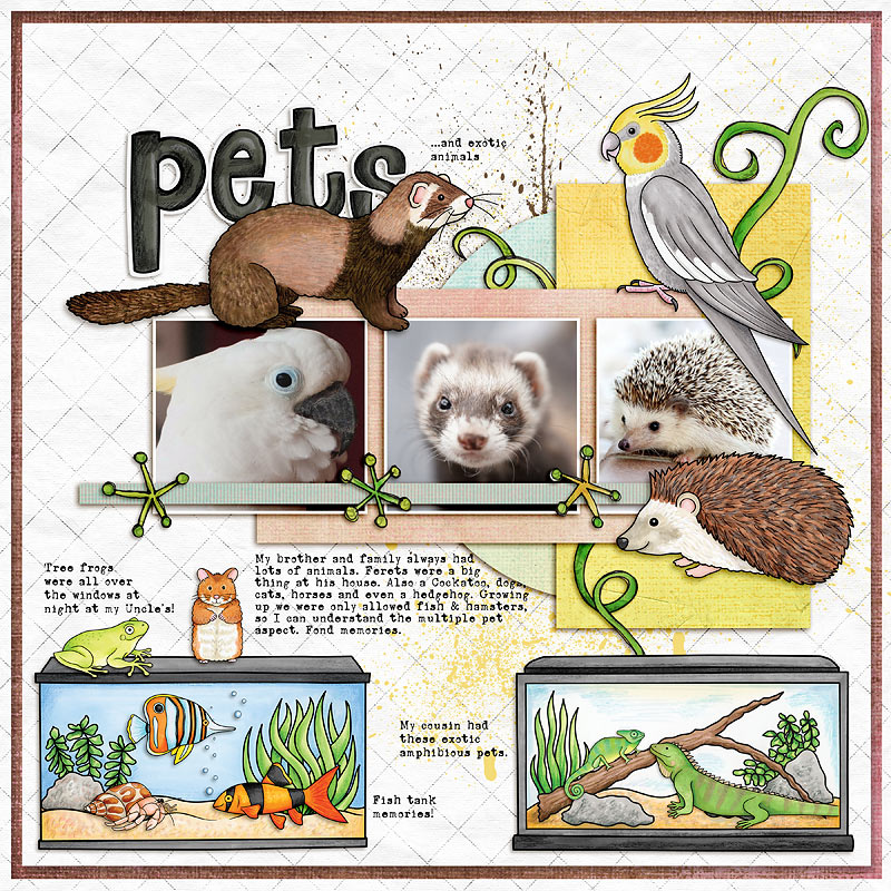 Pets ...and Exotic Animals by cfile Pets ...and Exotic Animals
