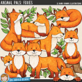 Animal Pals: Foxes Bundle