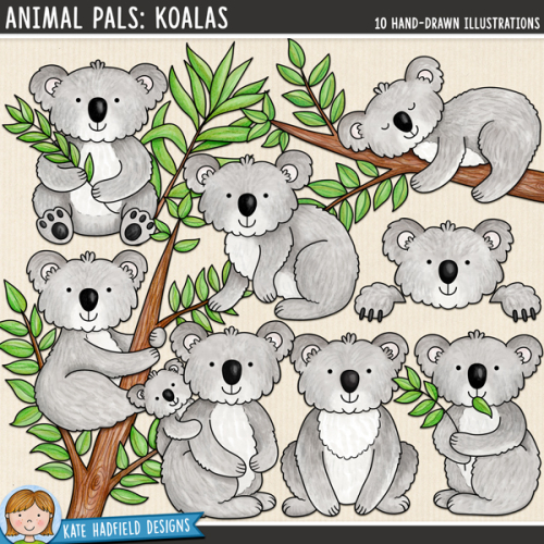 Animal Pals: Koalas
