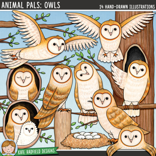 Animal Pals: Owls
