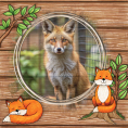 Animal Pals: Foxes Bundle