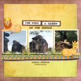 Animal Pals: Lionesses Bundle
