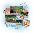 Animal Pals: Otters Bundle