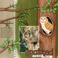 Animal Pals: Owls