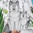 Animal Pals: Wolves