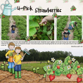 Farmer's Garden