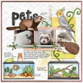 My Kinda Pet BIG Bundle