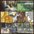 Safari Malarky Bundle Safari Malarky Bundle