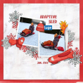 Winter Sports Bundle