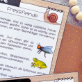 Learning activity snail