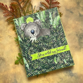 Peek-a-Boo Koala