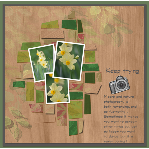 paper pieces template