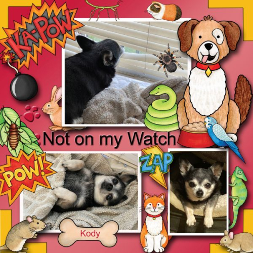 Not on my Watch!