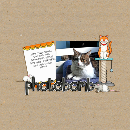 Photobomb
