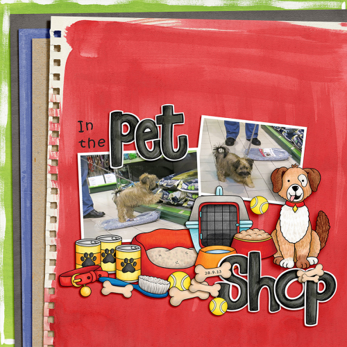 In the Pet Shop