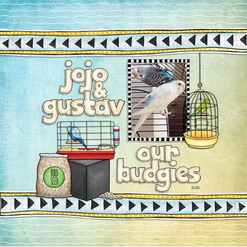 our budgies