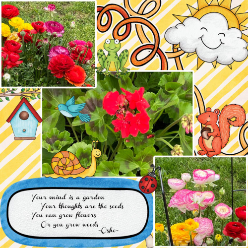 Garden Quote