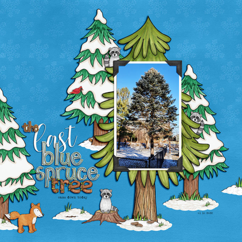 The Last Blue Spruce Tree