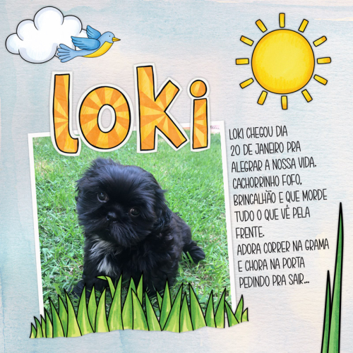 Loki