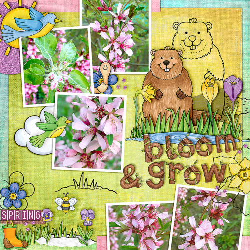 Bloom & Grow