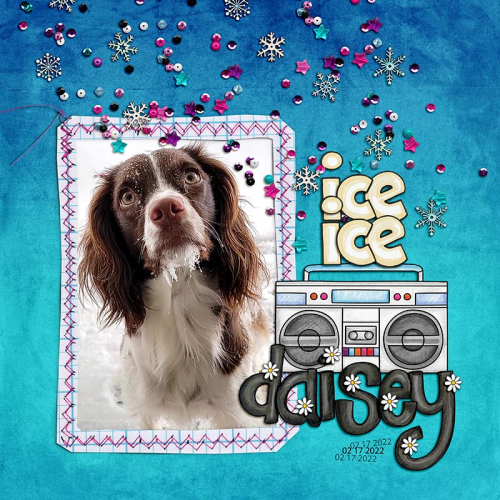 ice ice daisey