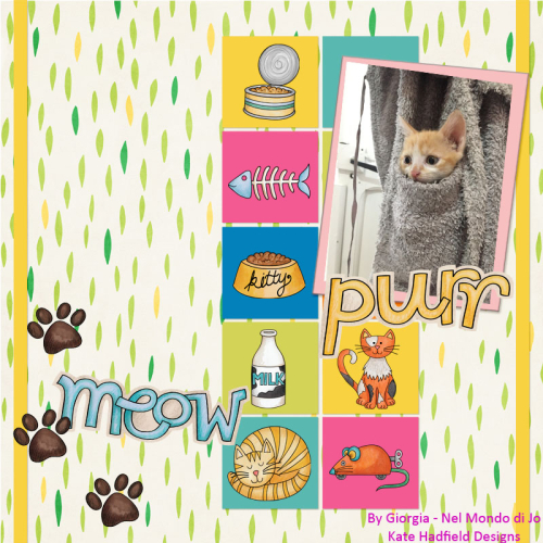 Kitty 