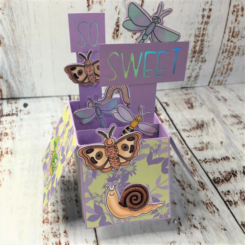 Mini Beast Parade Box card