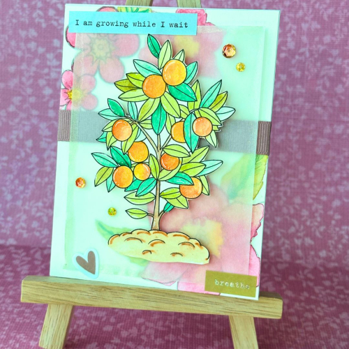 Orange Tree Motivational