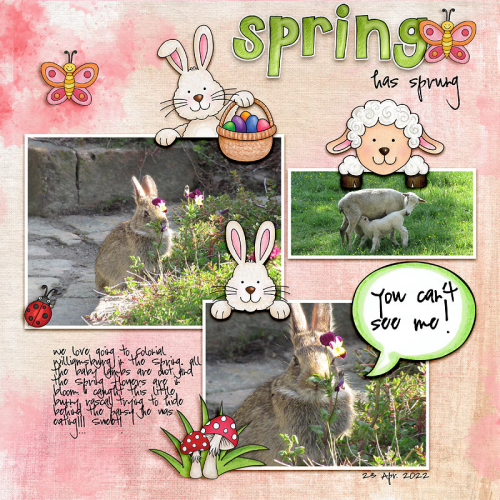 Spring has Sprung