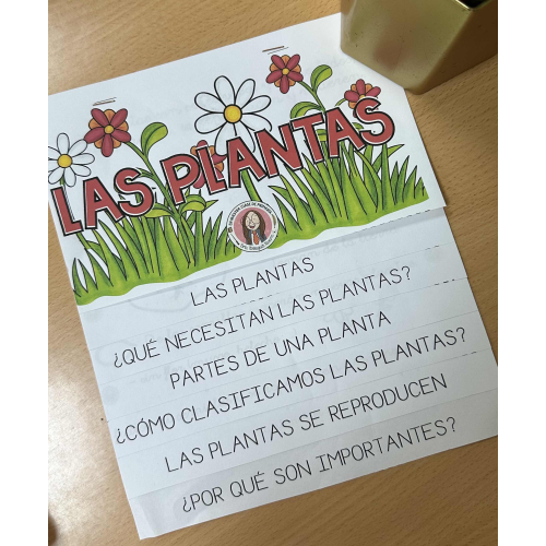 Las plantas