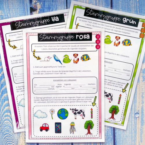 Learning activity