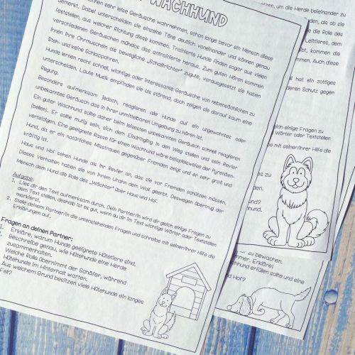 Learning activity