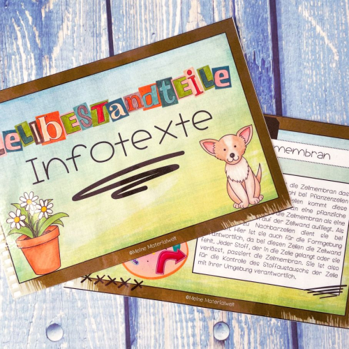 Learning activity
