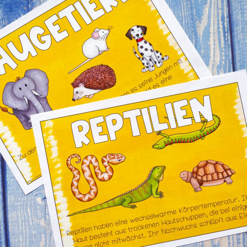 Learning activity