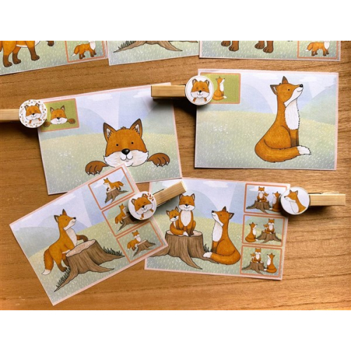 Find the same fox