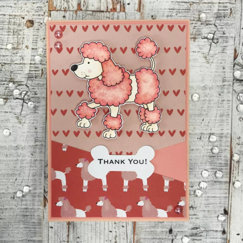 Poodle 'Thank you' card
