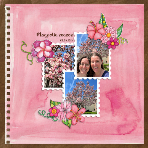 Magnolia Season