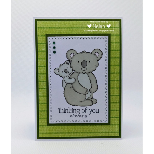 Koala-ity Time!