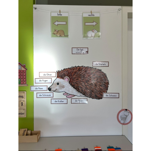 Hedgehog
