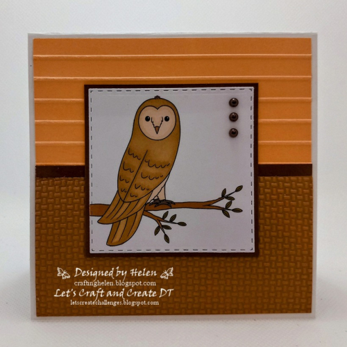 Animal Pals: Owls