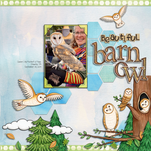 Beautiful Barn Owl