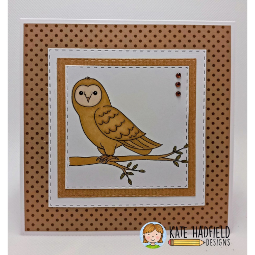 Animal Pals: Owls